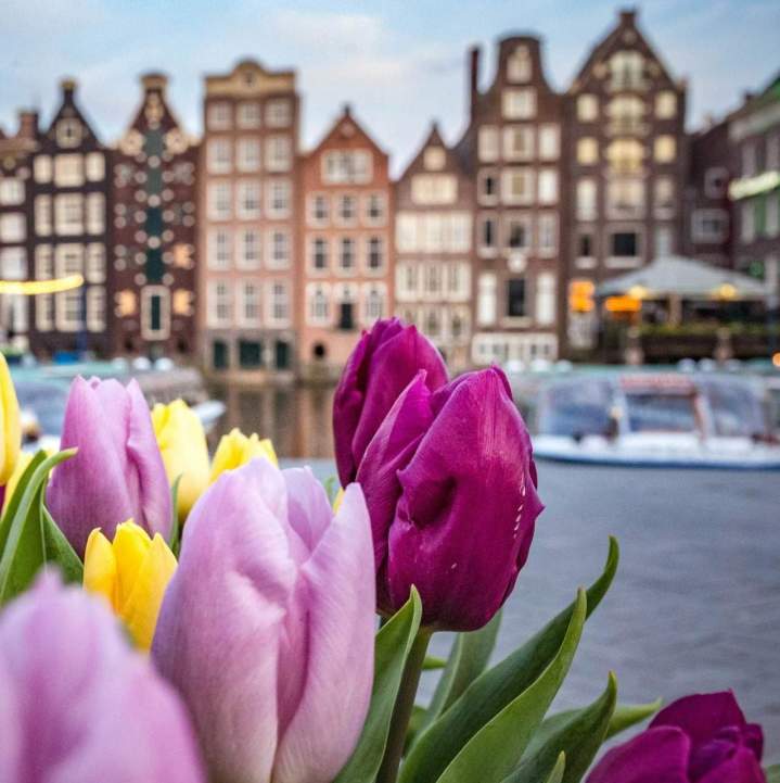 catalina fedorova RRl m fQzNY unsplash